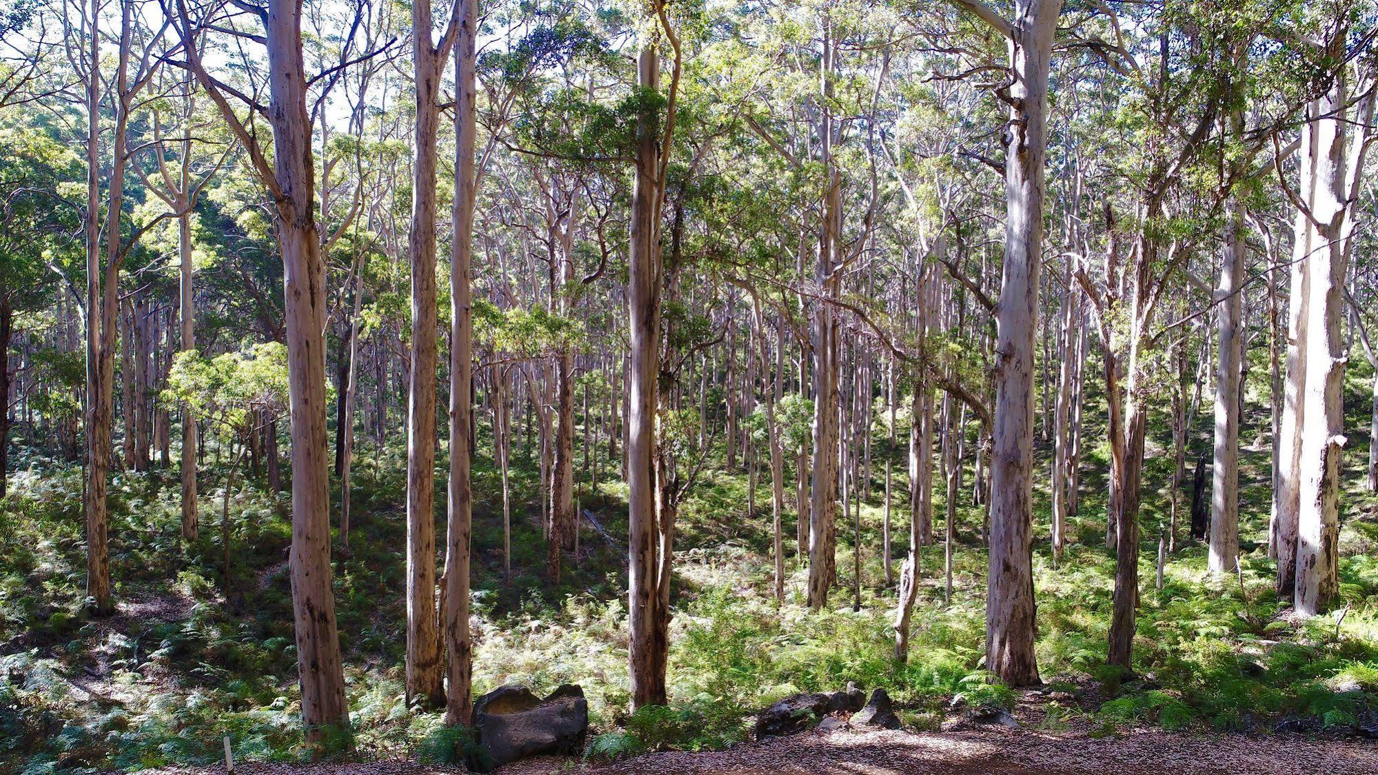 Margaret River 4*